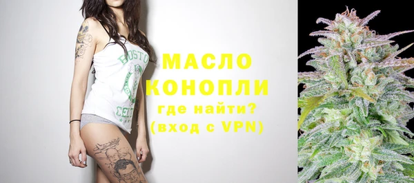 твердый Няндома