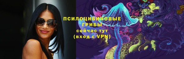 твердый Няндома