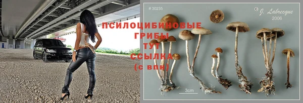 первитин Новокубанск
