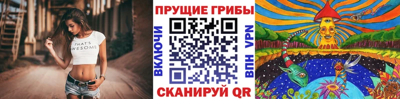 Галлюциногенные грибы прущие грибы  Медынь 